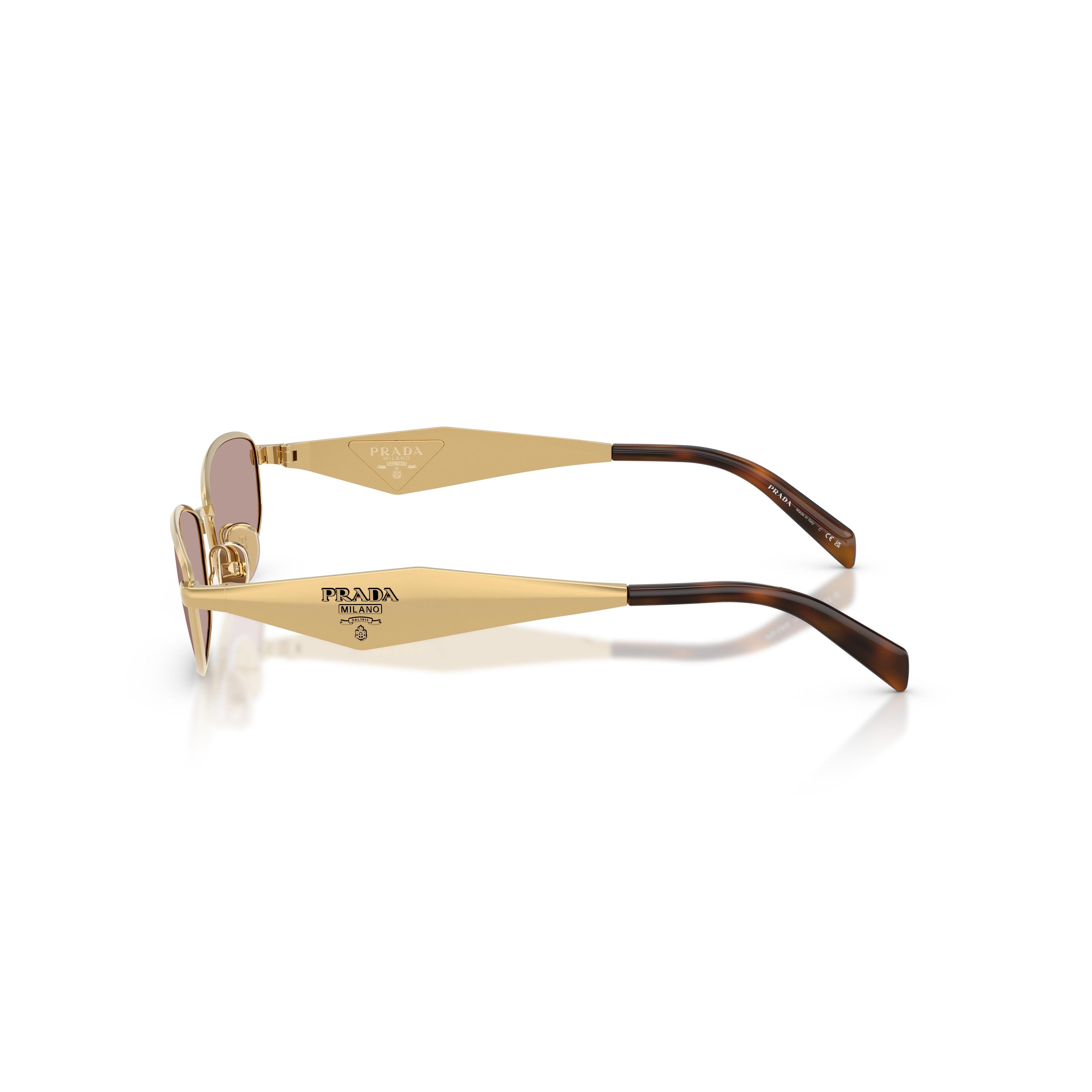 Luxury Oval Metal Sunglasses