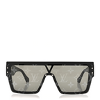 Lunettes de soleil Waimea L